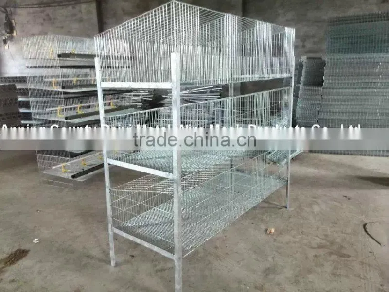 Quail Egg Cage For Quail Egg Production