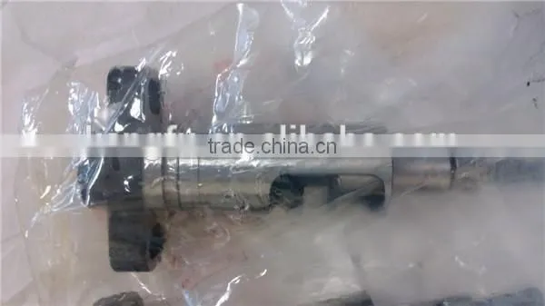 Diesel Element Plunger 2425 981