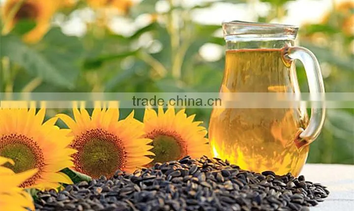 sunflower oil squeeze machinery