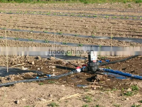 Multi size screen/disc irrigation water filter