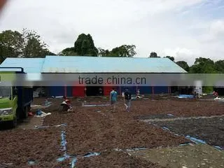Cv Bintang Mas Sportindo company overview - view 1