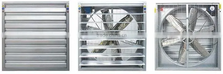 Trade Assurance factory price poultry farming equipment HE-1220 drop hammer ventilation exhaust fan for industrial