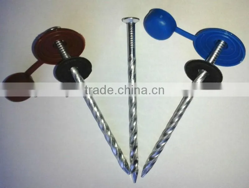 Polished Decorative Flooring Nails With Washers