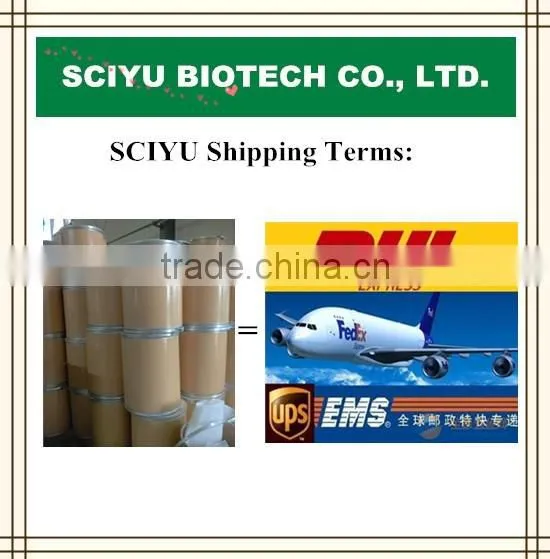 Sciyu supply alma Phyllanthus emblica fruit Extract powder