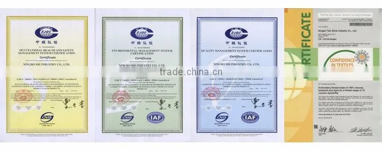 China wholesale of 250/2 250d/2 100% viscose rayon embroidery thread