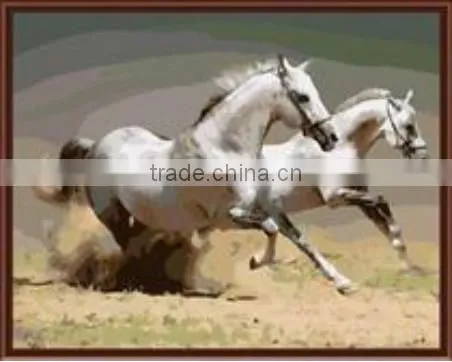 Hot sale handmade running horses tiger,lion painting animal oil painting by numbers pictures