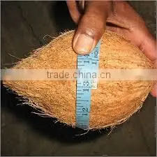 Fresh vegetables from asian countrt