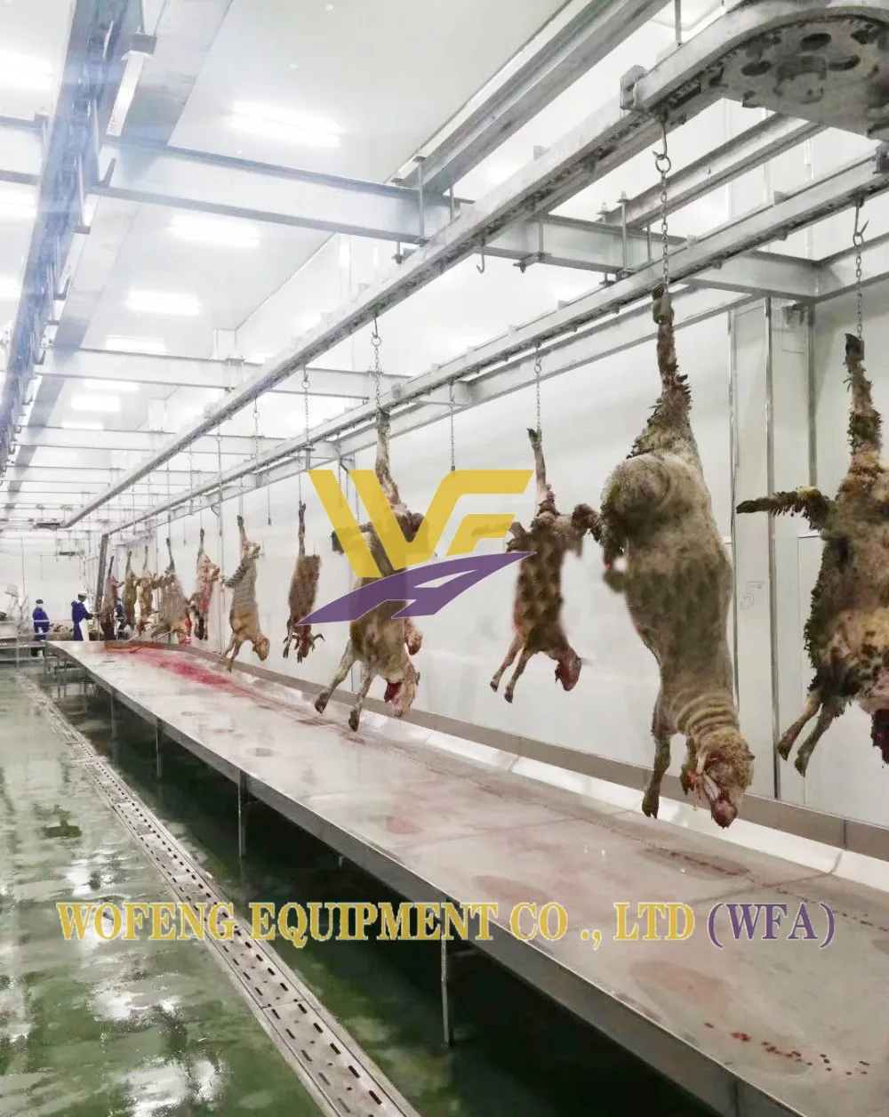 WFA Bleeding line (4)