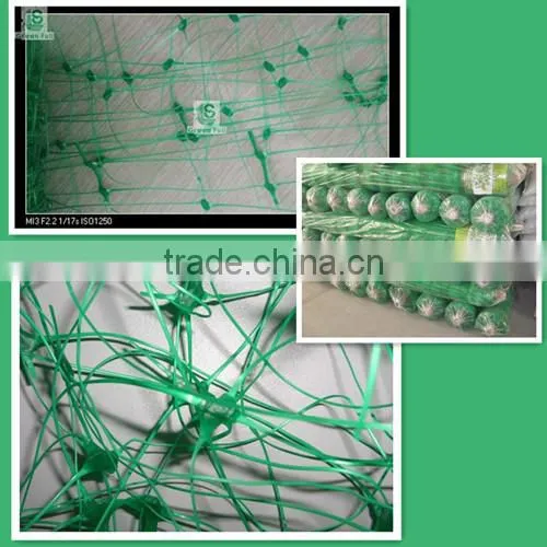 flower pea bean plastic plant support netting