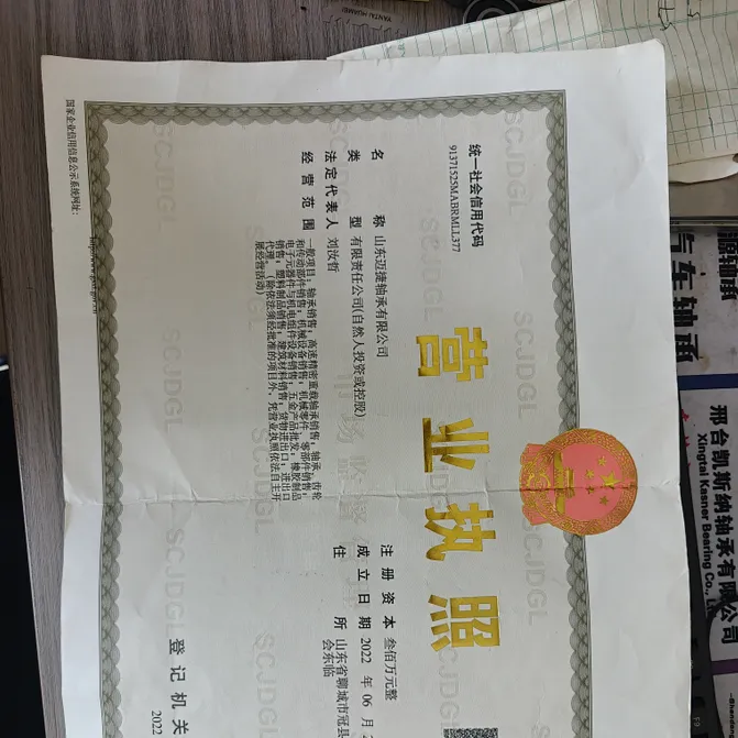 Shandong Maijie Bearing Co., Ltd. company overview - view 1