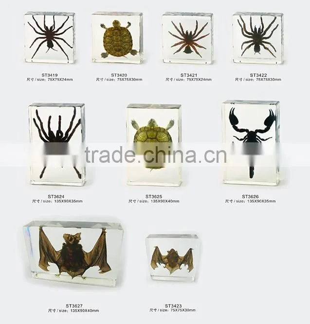 2016 new style promotional gift desk decoration with real insect
