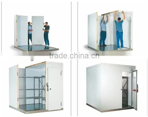 Lemon Cold storage/Cold Room wall panel