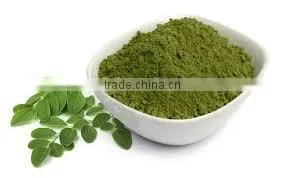 Natural & Pure Organic Moringa Powder For Sales