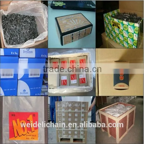 Construction Wire Nails Supplier/Wire Nail Price