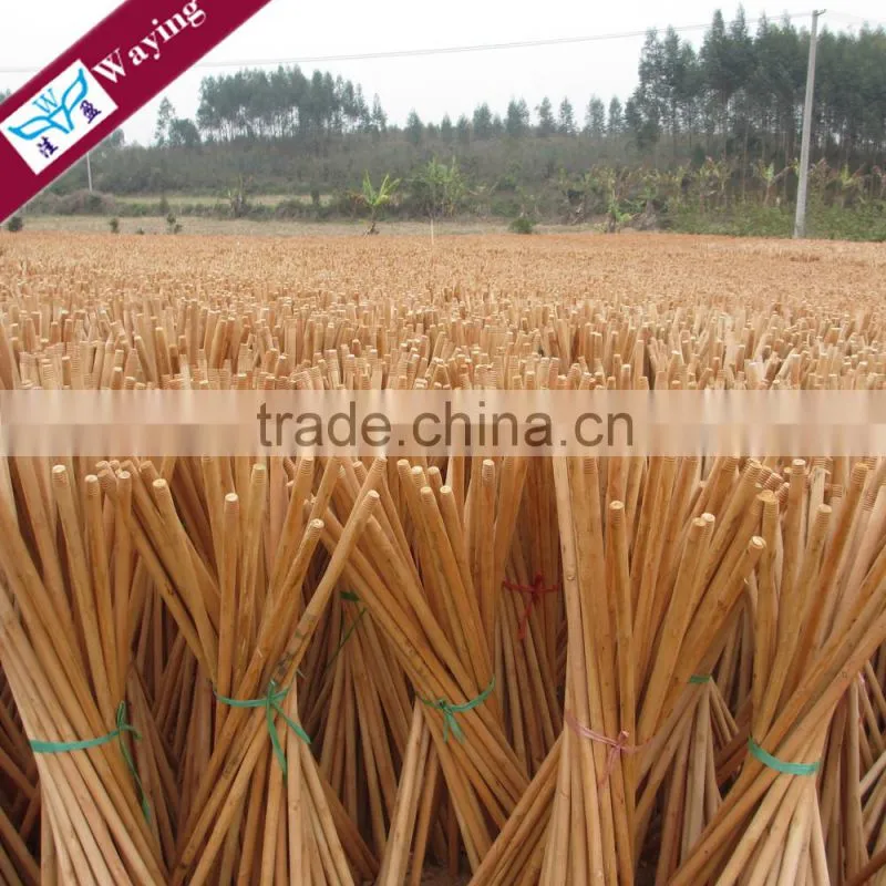 Eucalyptus Wooden Mop Handle/Spin Mop Handle