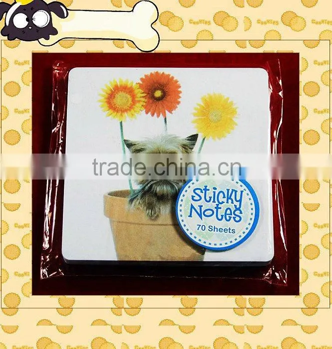 Meno pad with magnet