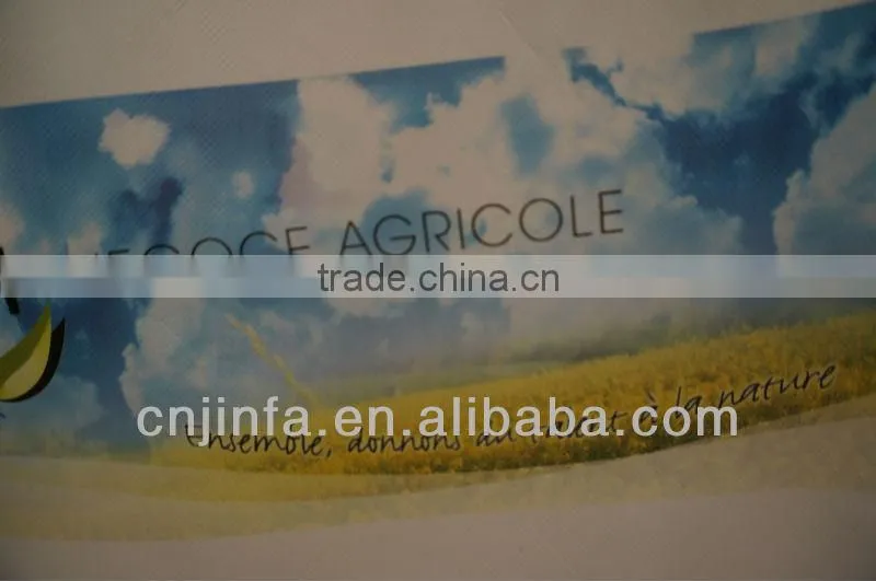 the latest in European custom high quality pp non woven shopper bag