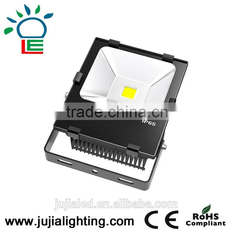 Outdoor 20W high power led projector light