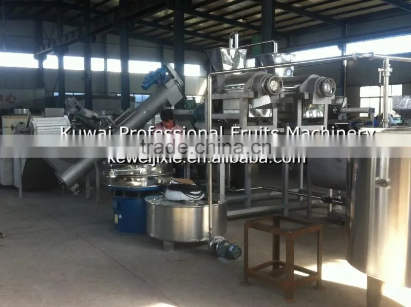 juice extractor/coconut juicer/coconut juice making machine