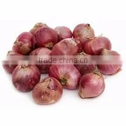 Organic fresh red onions
