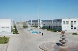 Shengrui Transmission Corporate Limited company overview - view 1