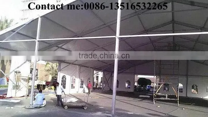 Cheap price custom high technology dome party tents