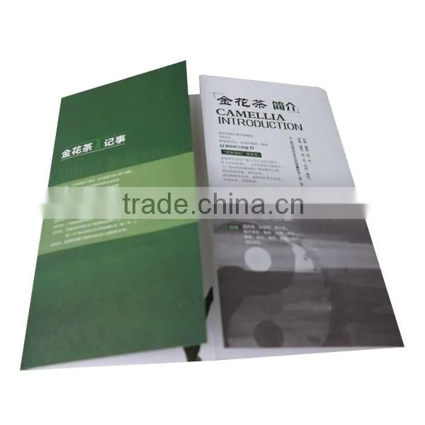 OEM Guangzhou factory high quality offset printing booklet printing