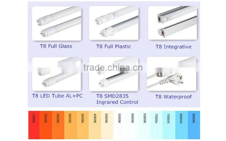 LED Light Tube LED Fluorescent Lamp T8 LED Tube Light