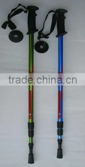 Nordic Walking Stick