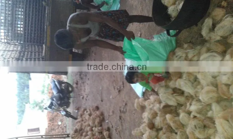 Fresh Frozen Coconuts