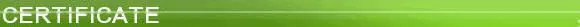 Heavy Duty Flexible PVC Layflat Water Transfer irrigation Discharge pipe