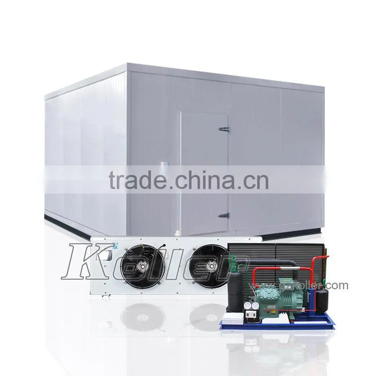 Koller New Technology 15 tons Cold Storage Room with PU panels for fish meat