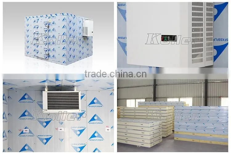 easy installation cold chiller room with mono block condensing unit