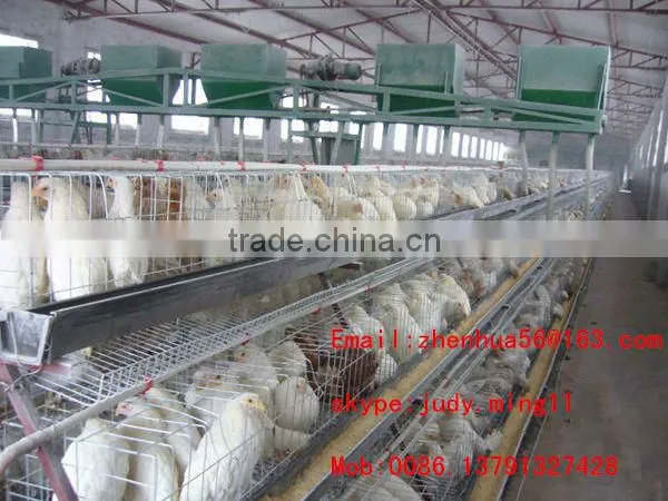 quail battery cages for sale poultry battery cages chicken cages