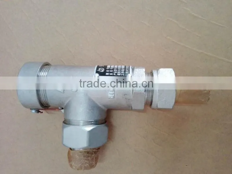 DN25 2.42MPa Safety Valve