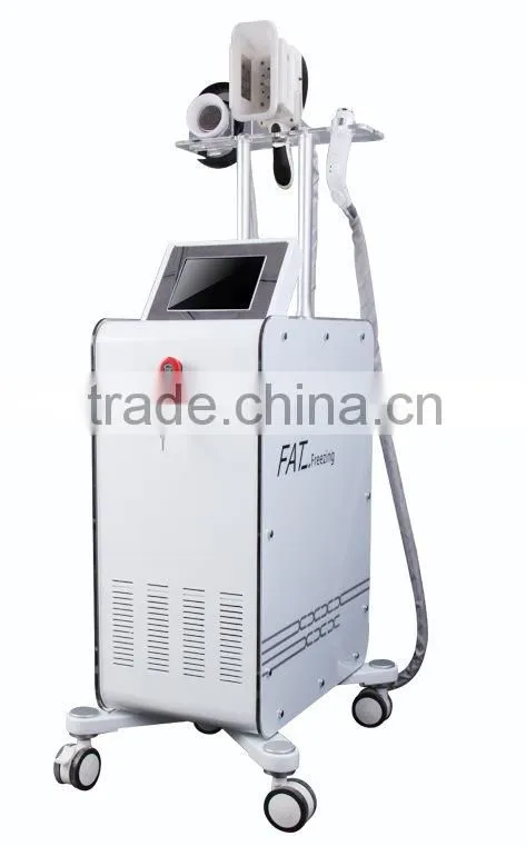 Professional OEM Ultrasoud Therapy Vacuum Cavitation RF CRYO Cellulite Reduction Machine