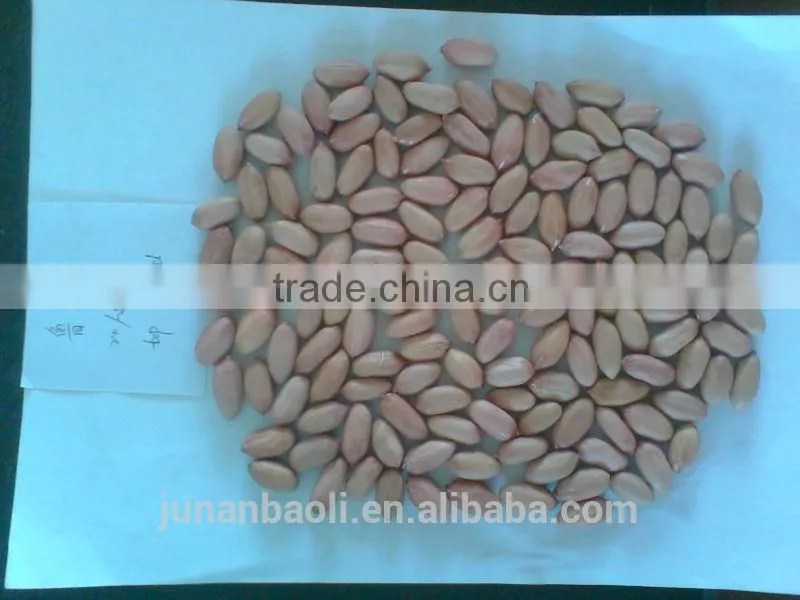 FLOWER11 FLOWER 17 PEANUT KERNEL