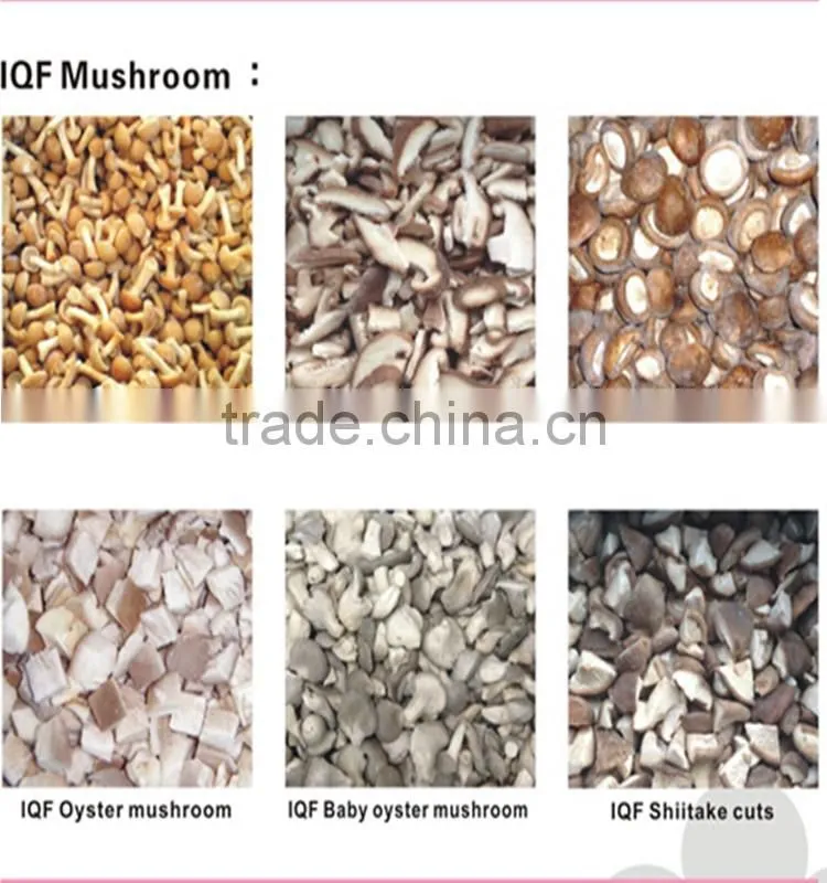 IQF Frozen apricot dices best price good quality