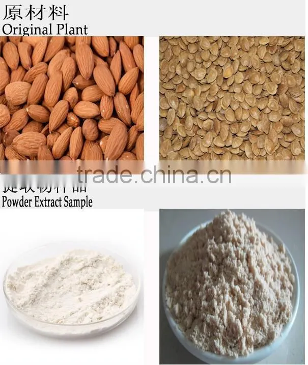 Top Quality And Low Price Food-grade Almond flour powder /Prunus armeniaca L. powder with 10% amygdalin