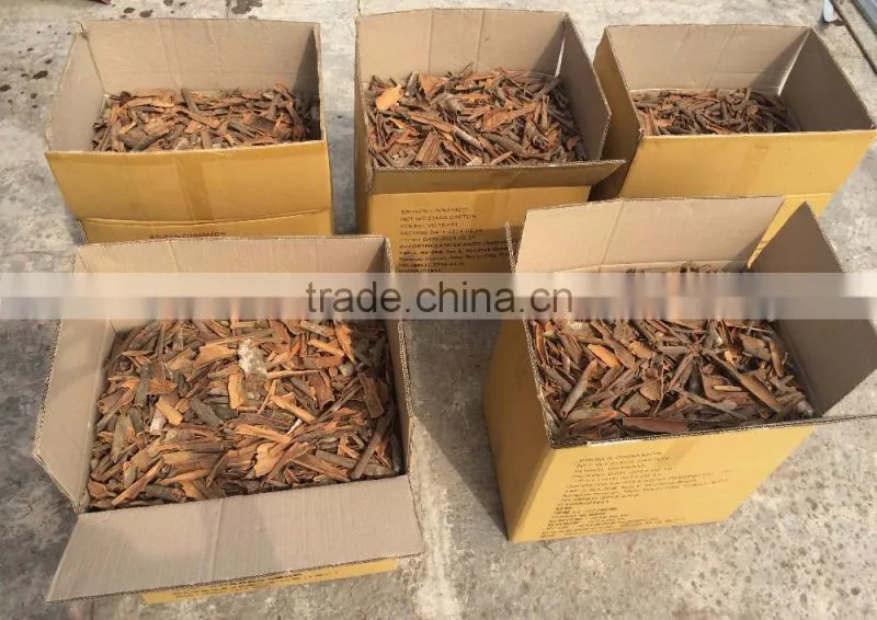 VIETNAM BROKEN CASSIA, HIGH QUALITY, BEST PRICE (+841657106604 - WHATSAPP)