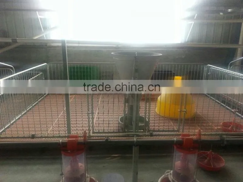 *pig farrowing crates,pig farming equipment