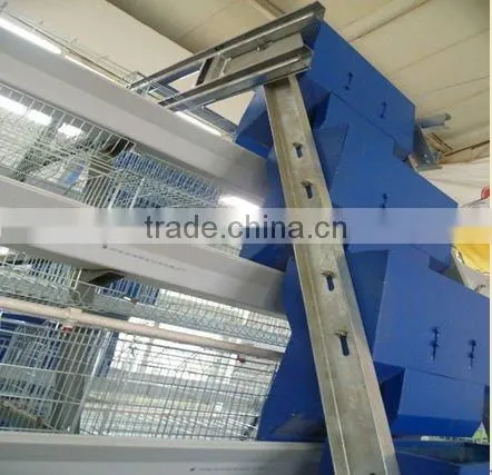 Automatic chicken feeding machine