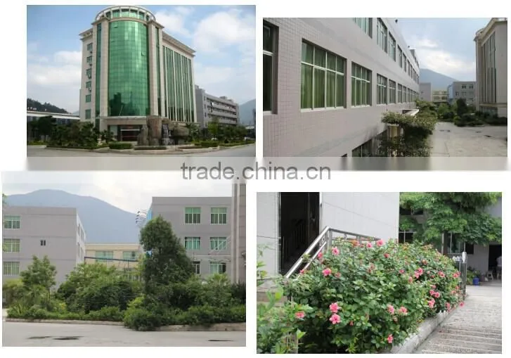 Cheap hot sell RAD READ A DREAM insect killers spray for Africa market
