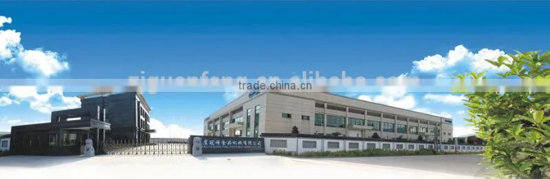 Professional food processing machinery french fries IQF frozen line