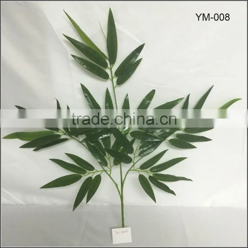 older bamboo branch