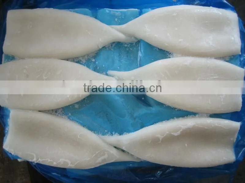 fresh clean frozen squid, squid ring, squid tube in high quality