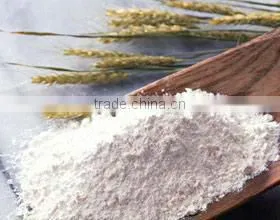 Automatic Pouch Packing Machine for Masala