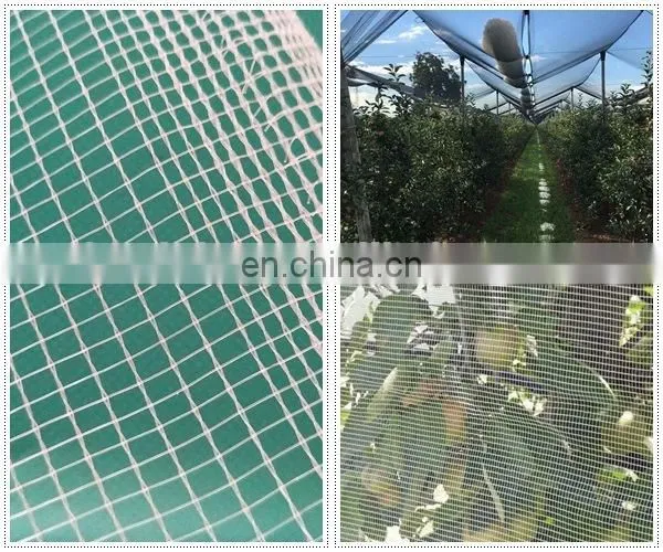 40*40,3*50 m Insect proof mesh nylon insect net