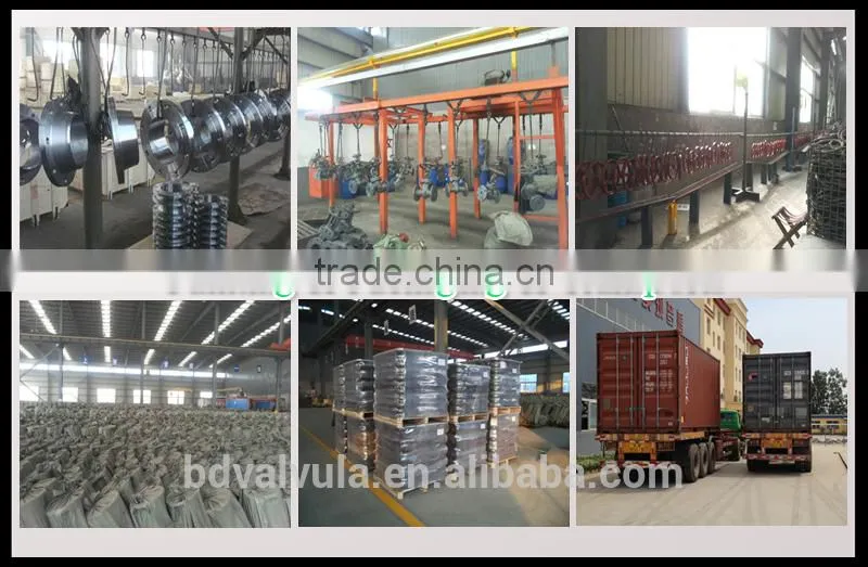 Z944T/W - 10/10Q Motorized parallel double disc gate valve