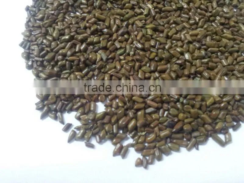Casia tora seeds Japan quality and 99.98 % Purity